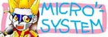 oi[(MICRO SYSTEM)